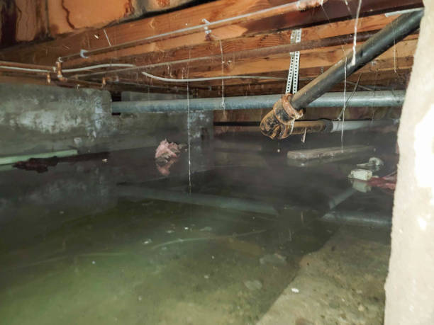 Water damage restoration mold remediation in Drexel Heights, AZ