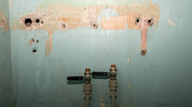 Best Local water damage restoration  in Drexel Heights, AZ