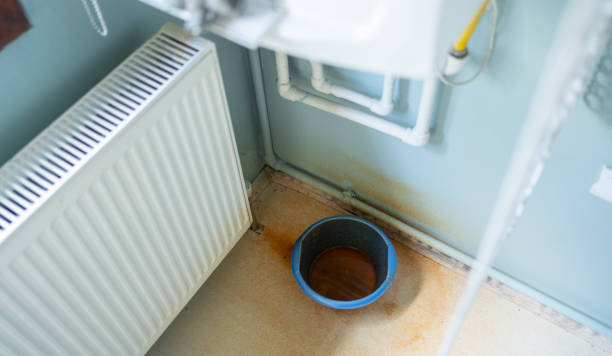 Best Fire Damage Restoration  in Drexel Heights, AZ