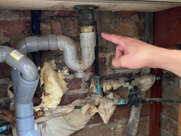 Best Water damage restoration near me  in Drexel Heights, AZ