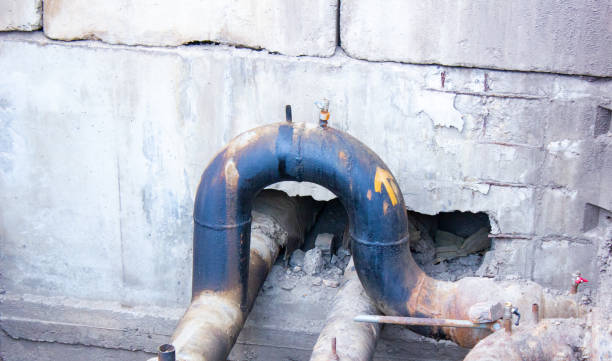 Best Water damage restoration mold remediation  in Drexel Heights, AZ